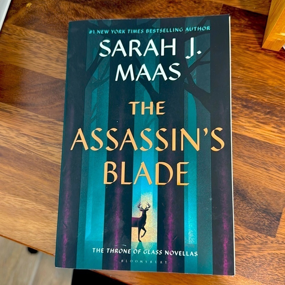 The Assassin’s Blade by Sarah J. Maas